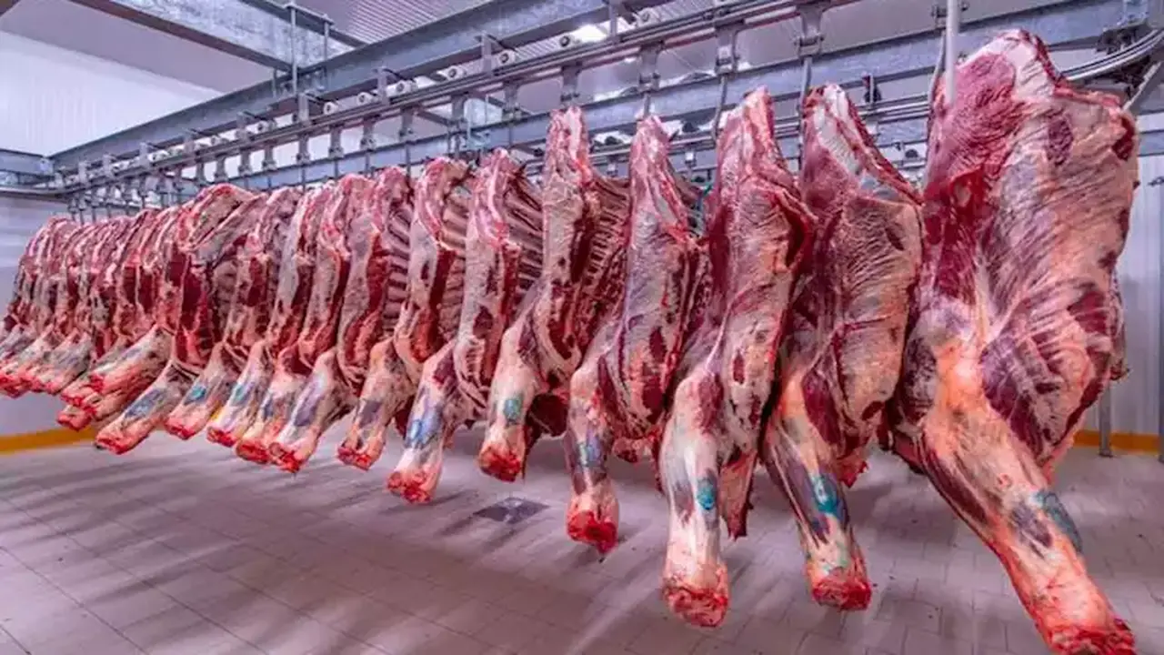 صعود أسعار اللحوم والعدس والجبن اليوم الجمعة بالأسواق